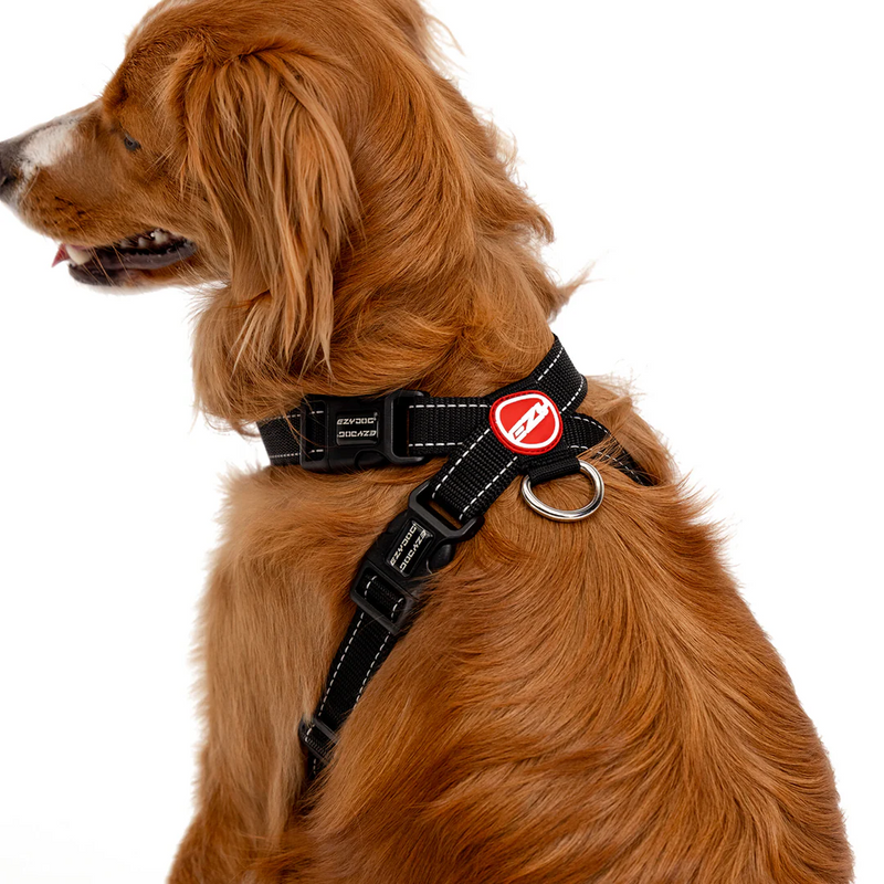 EzyDog Chest Plate Harness Black XS