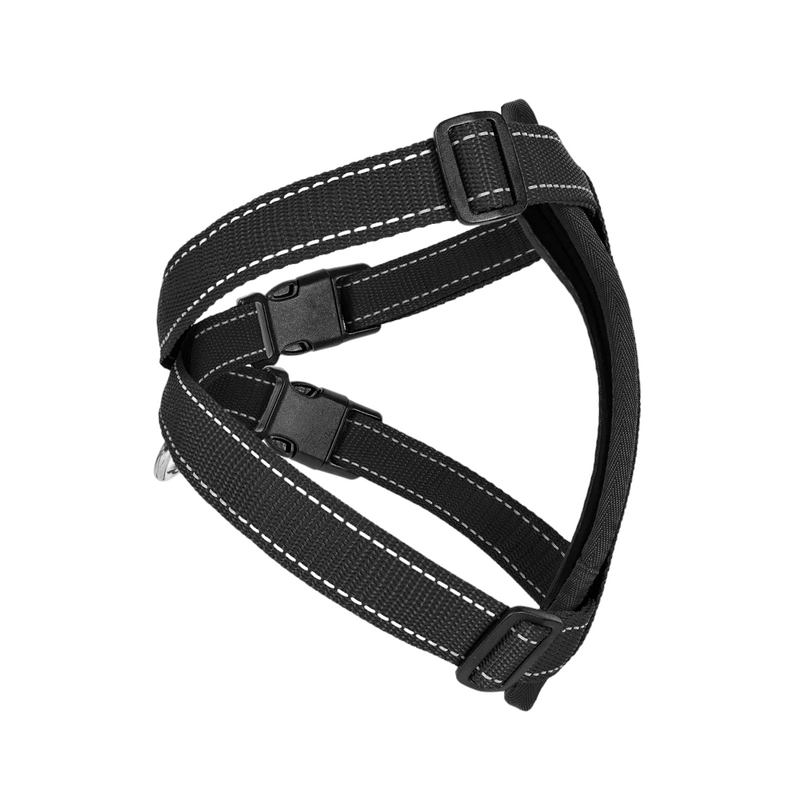 EzyDog Chest Plate Harness Black XS